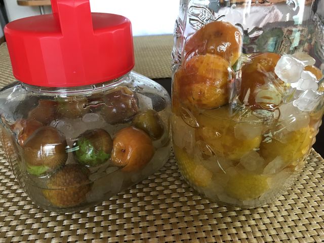 炊飯器で作る梅シロップの作り方 ムートン王国店主 岩井ムートン店主の笑売ブログ