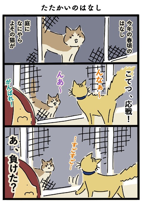 iwako_cat_537