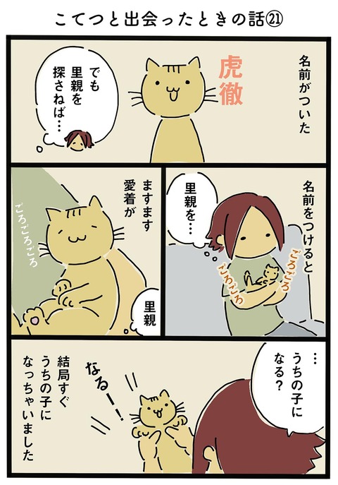 iwako_cat_60