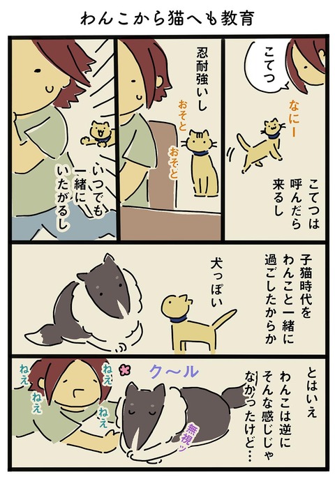 iwako_cat_112