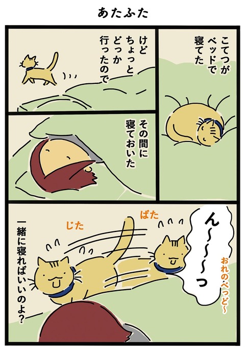 iwako_cat_512