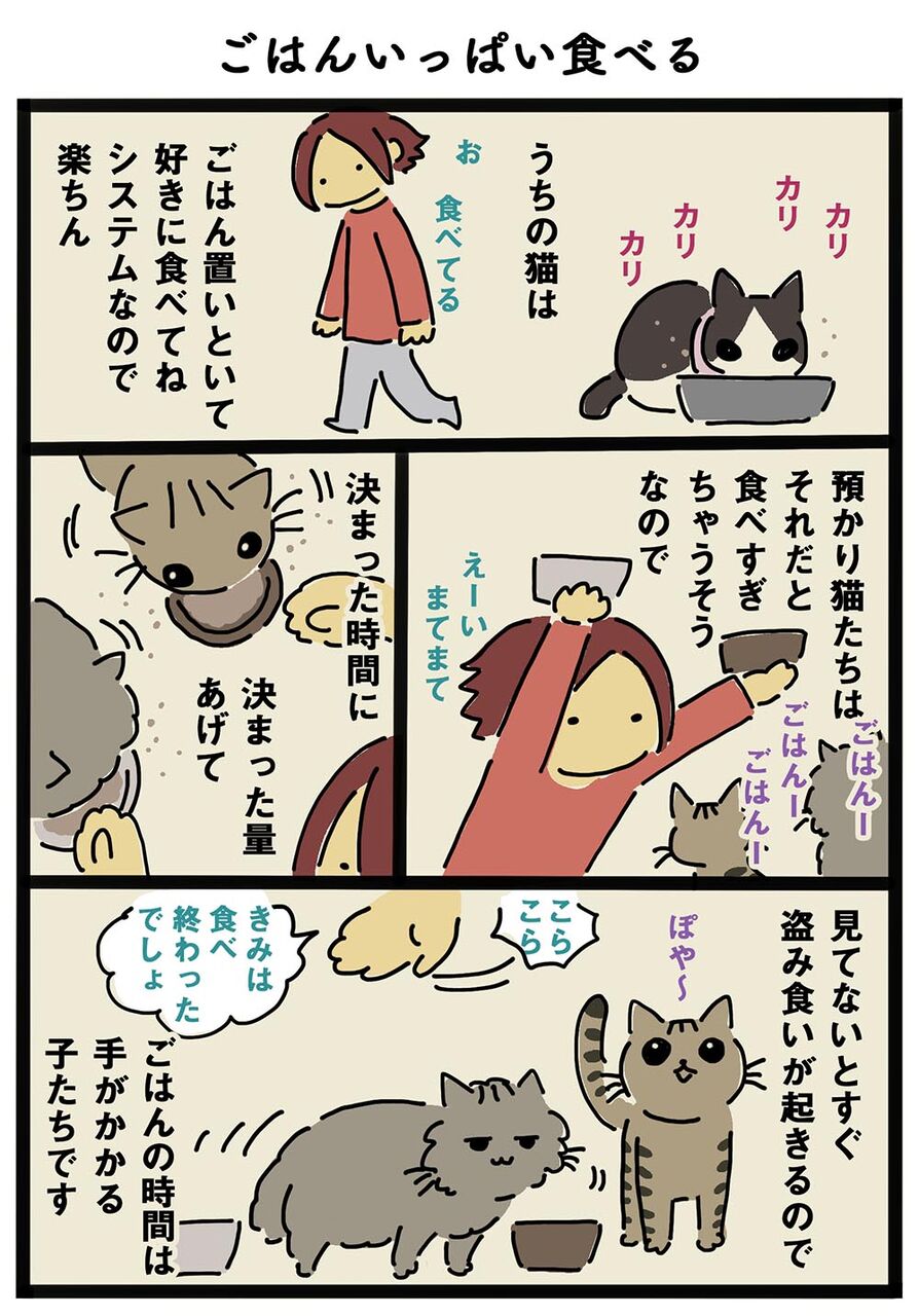 ごはんいっぱい食べる ひとり旅がしてみたいイワコのブログ