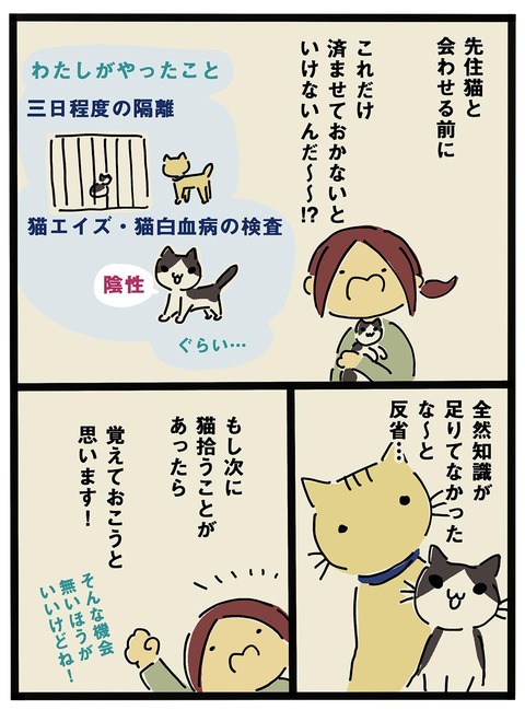 iwako_cat_205_2