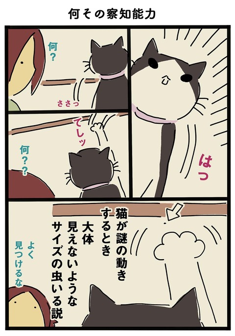 iwako_cat_316