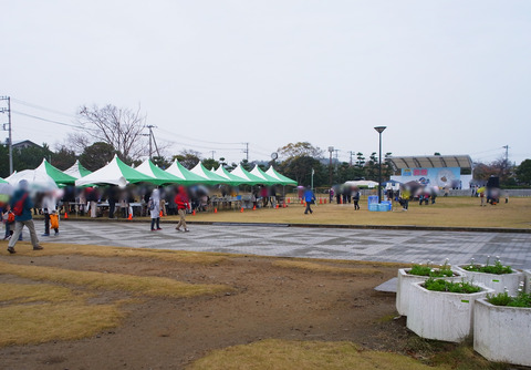 R0019554