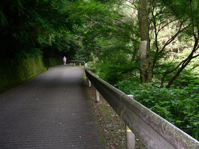 見返り橋と名水 いろいろ報告 岩国 横山 錦帯橋