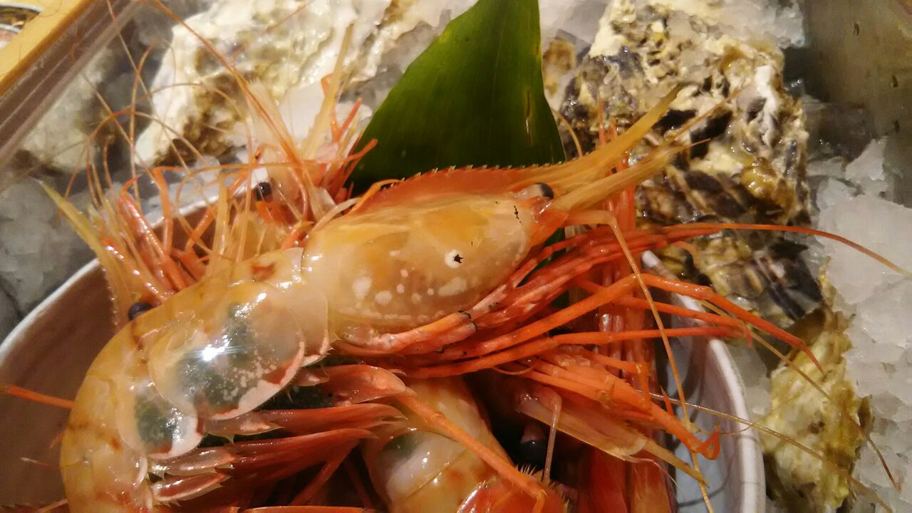 北海道からボタンエビ 岩正ブログ 中洲の寿司屋