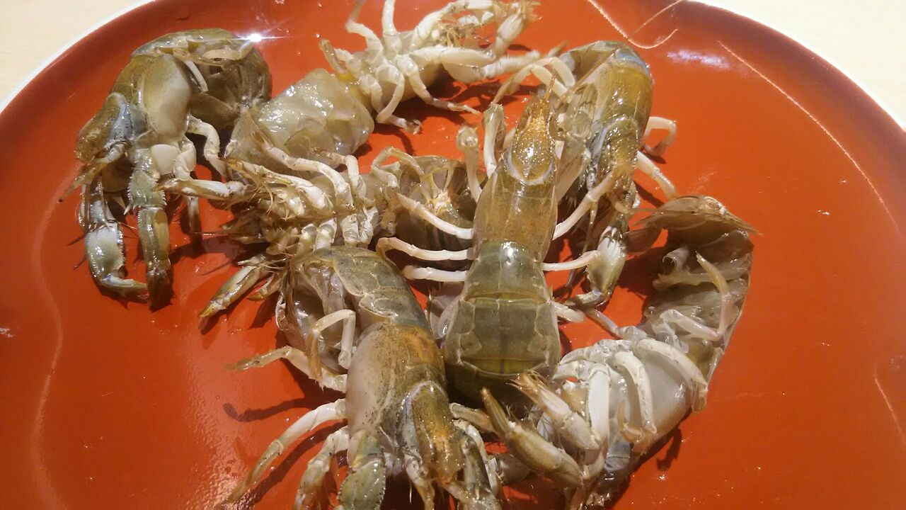 マジャクとシャコ 岩正ブログ 中洲の寿司屋