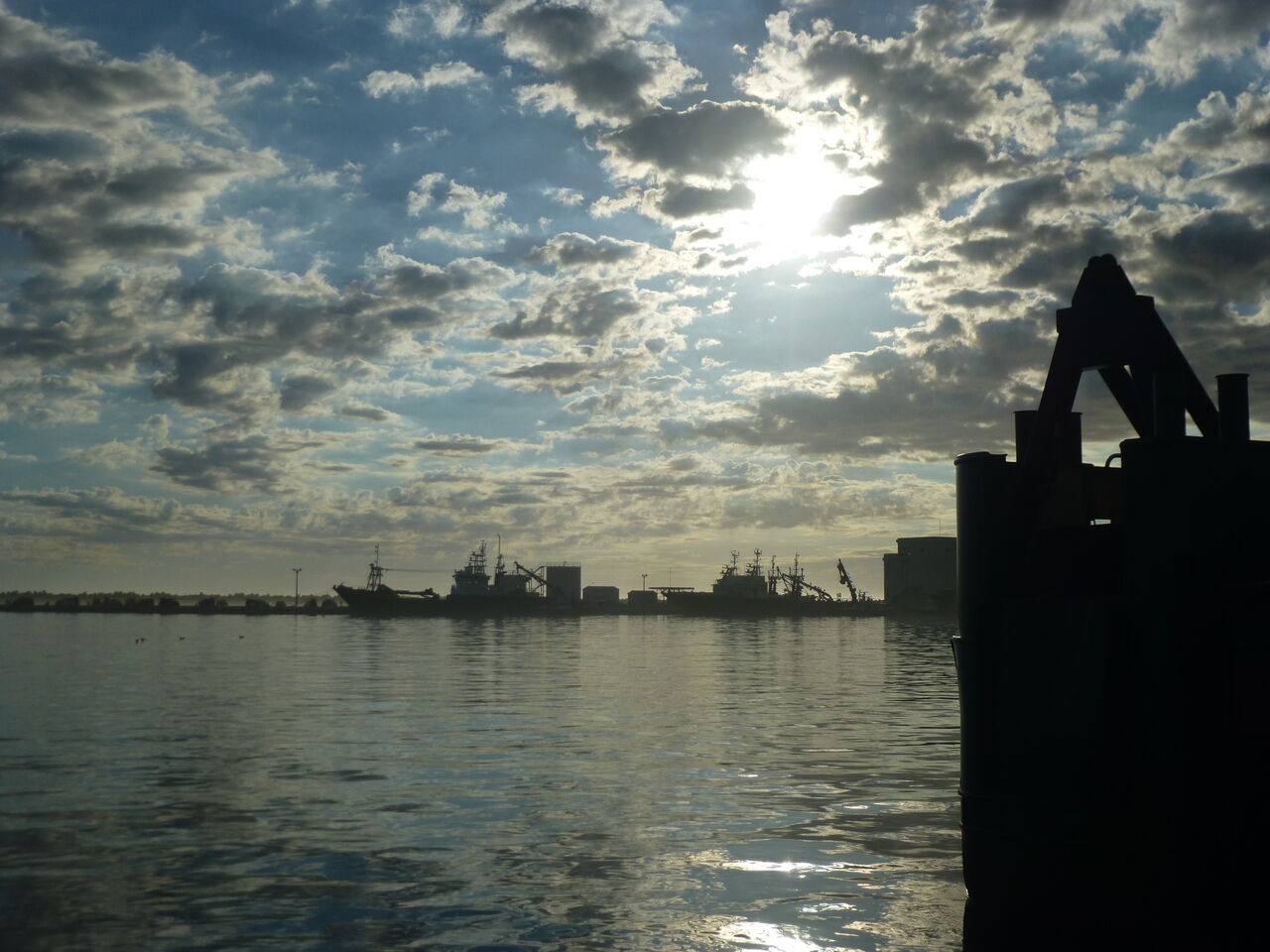 波崎新港 その５ 茨城県神栖市 イワナの散歩