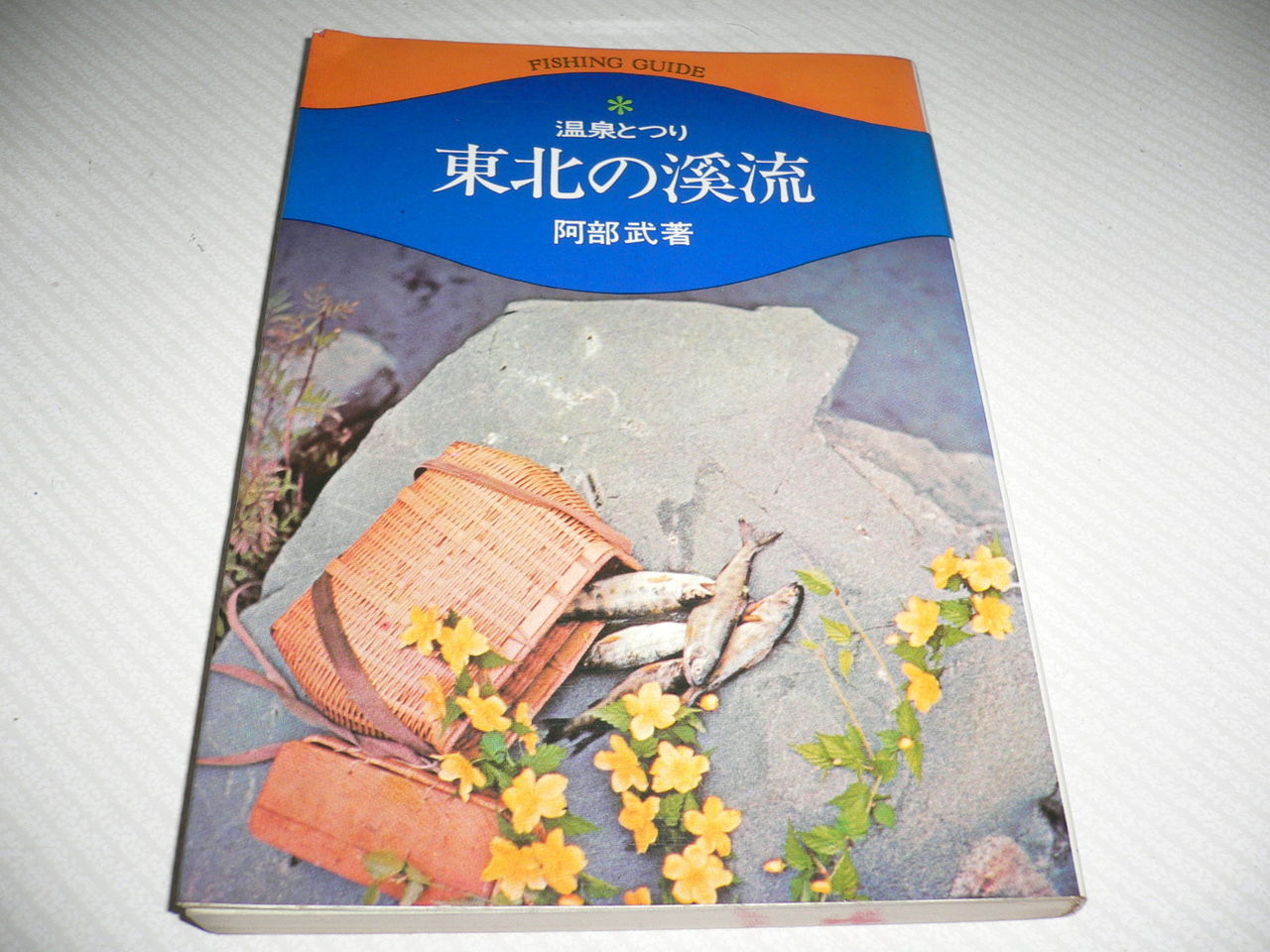 東北の渓流 イワナの散歩