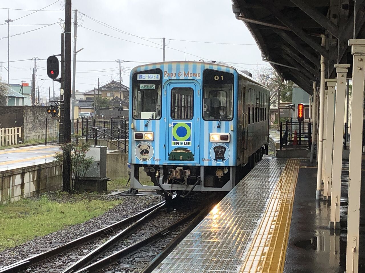 お盆に那珂湊へ | わんたママのブログ