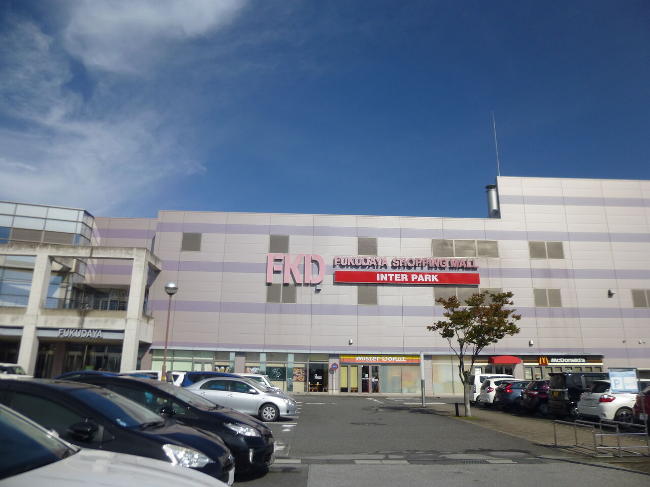 福田屋百貨店インターパーク店 栃木県宇都宮市 イワナの散歩