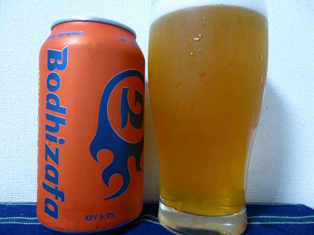 ｎｏ ３４７３ ジョージタウン ボーディザーファｉｐａ アメリカ イワナの散歩