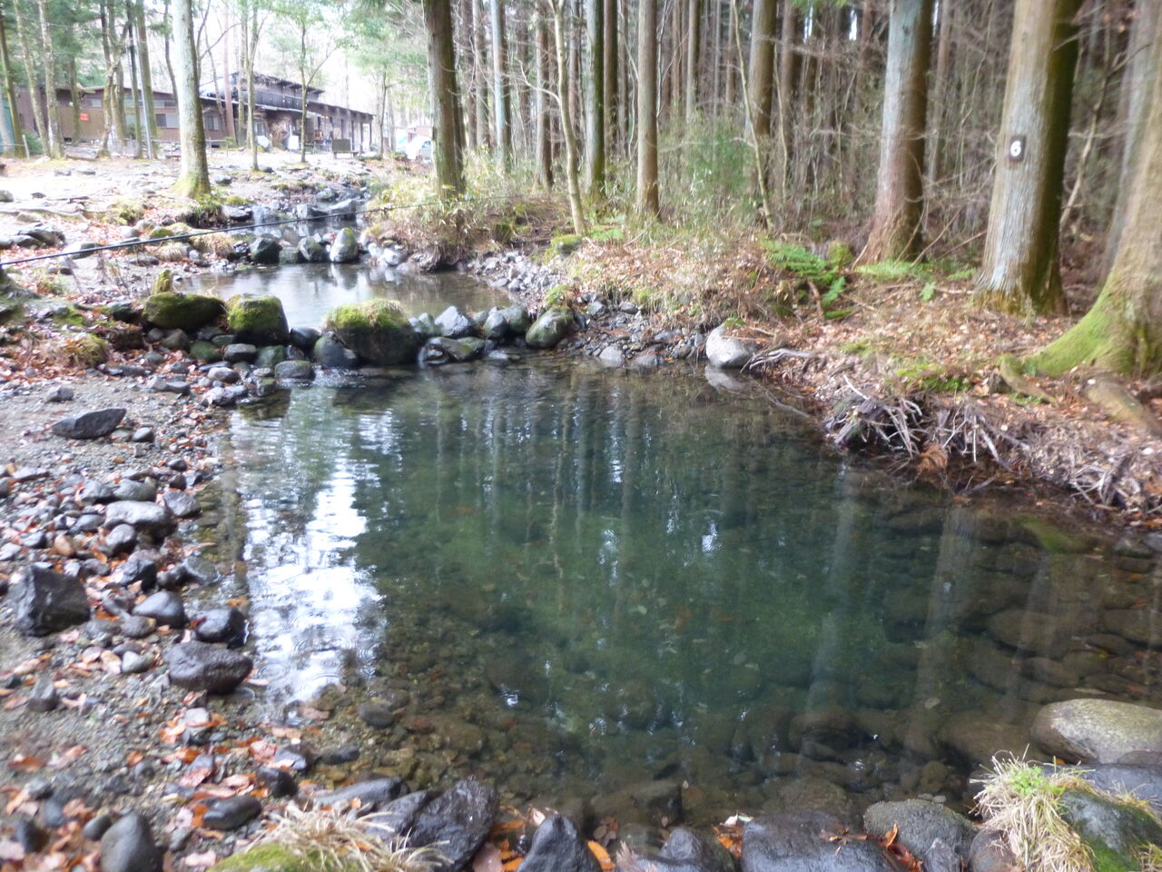 禁断のイワナ釣り ３ イワナの散歩