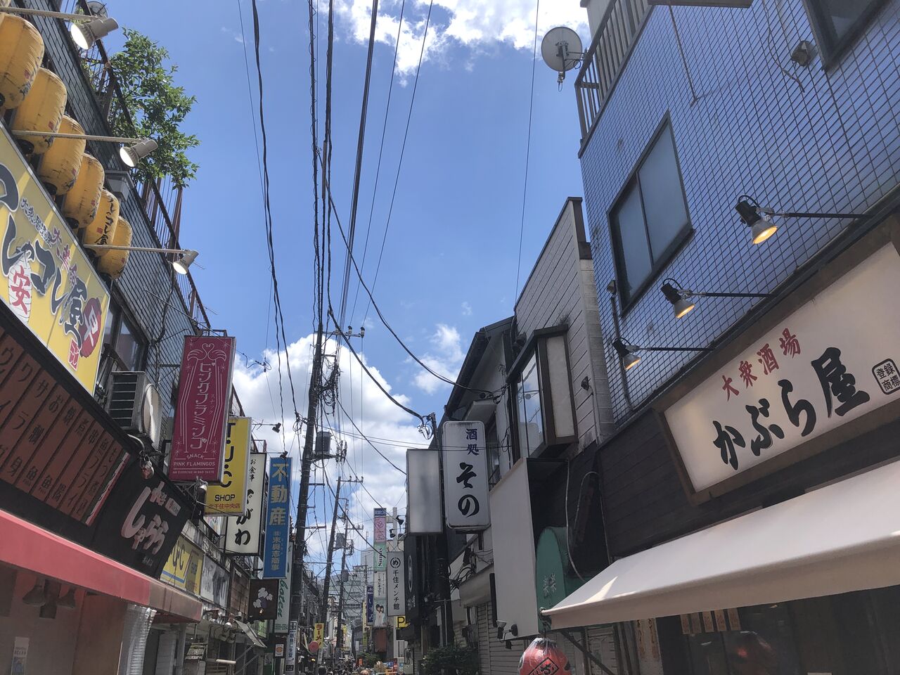 大衆居酒屋大革命 アレやコレ屋北千住店 東京都足立区 イワナの散歩