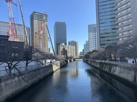 IMG_3004