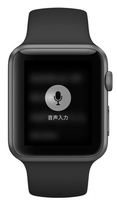 voice
