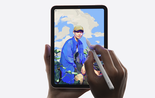 ipadmini6