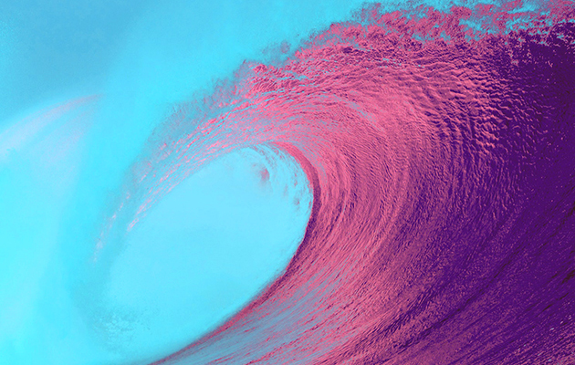 e38c6398