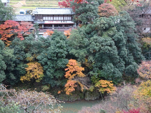DSC06731 のコピー