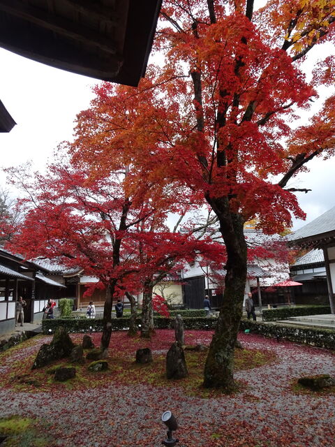 DSC06678 のコピー
