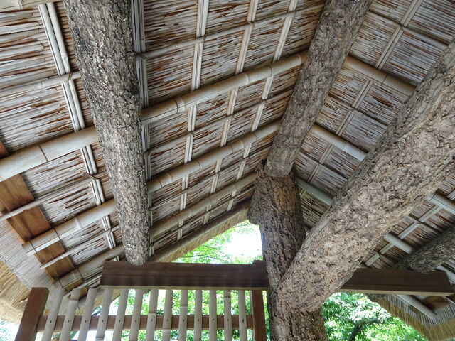 桂離宮（御幸門から外腰掛） : 岩 崎 建 築 研 究 室 ・ 日 誌