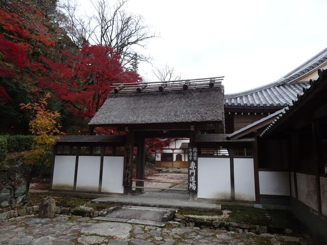 DSC06698 のコピー