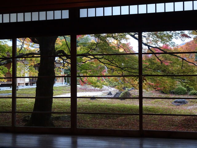 DSC06696 のコピー