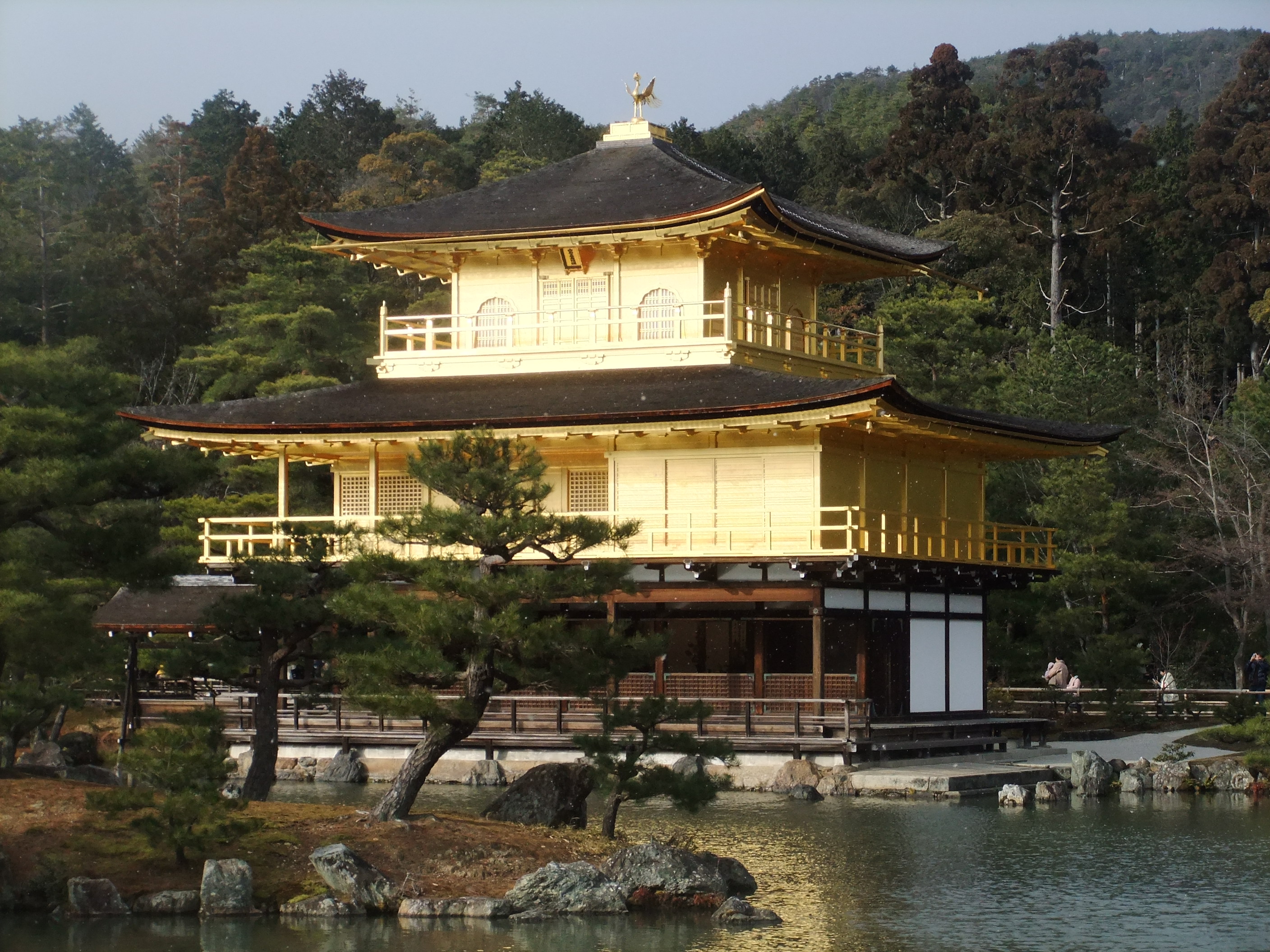 金閣寺 岩 崎 建 築 研 究 室 日 誌