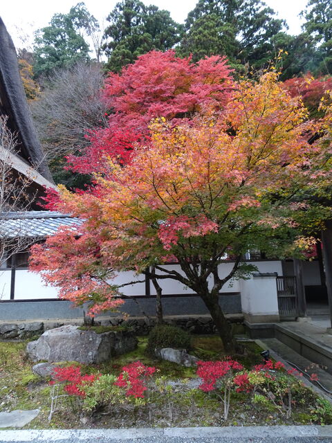 DSC06662 のコピー