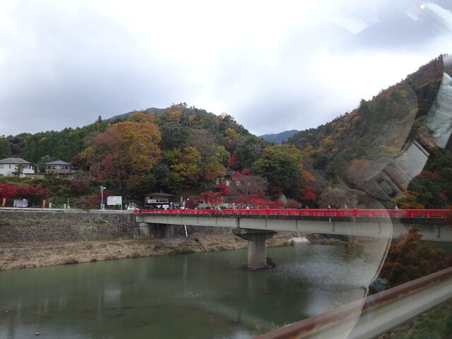 DSC06602 のコピー