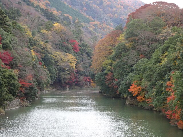DSC06609 のコピー