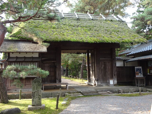 DSC04375 のコピー