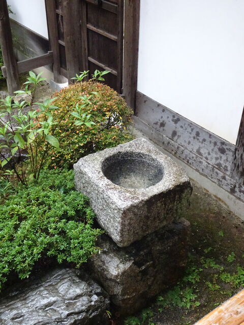 DSC02108