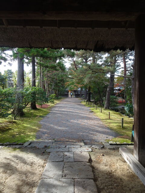 DSC04376 のコピー