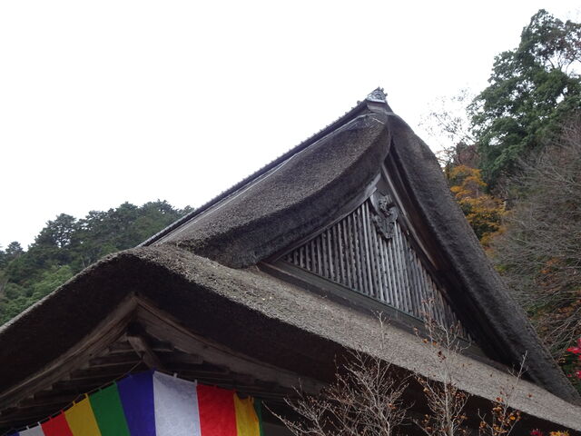DSC06664 のコピー