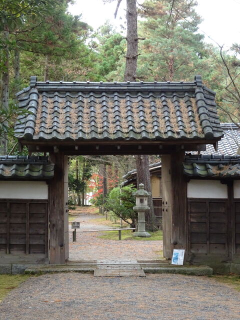 DSC04380 のコピー