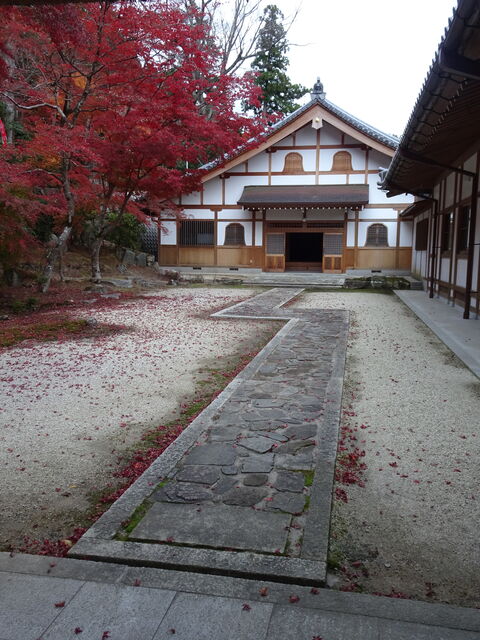 DSC06700 のコピー