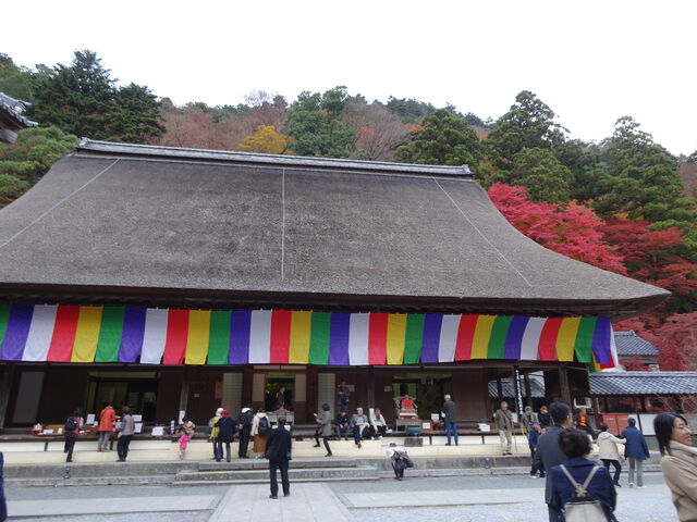 DSC06651 のコピー