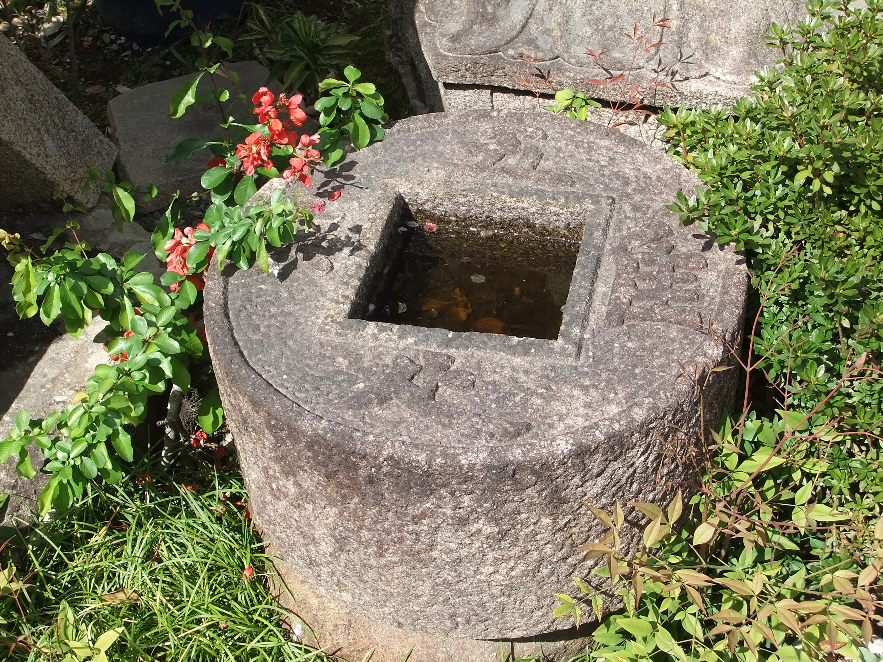 手水鉢 : 岩 崎 建 築 研 究 室 ・ 日 誌