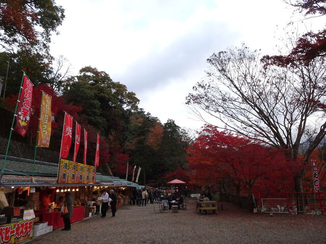 DSC06610 のコピー