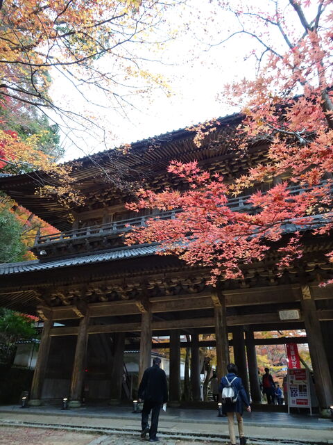 DSC06643 のコピー