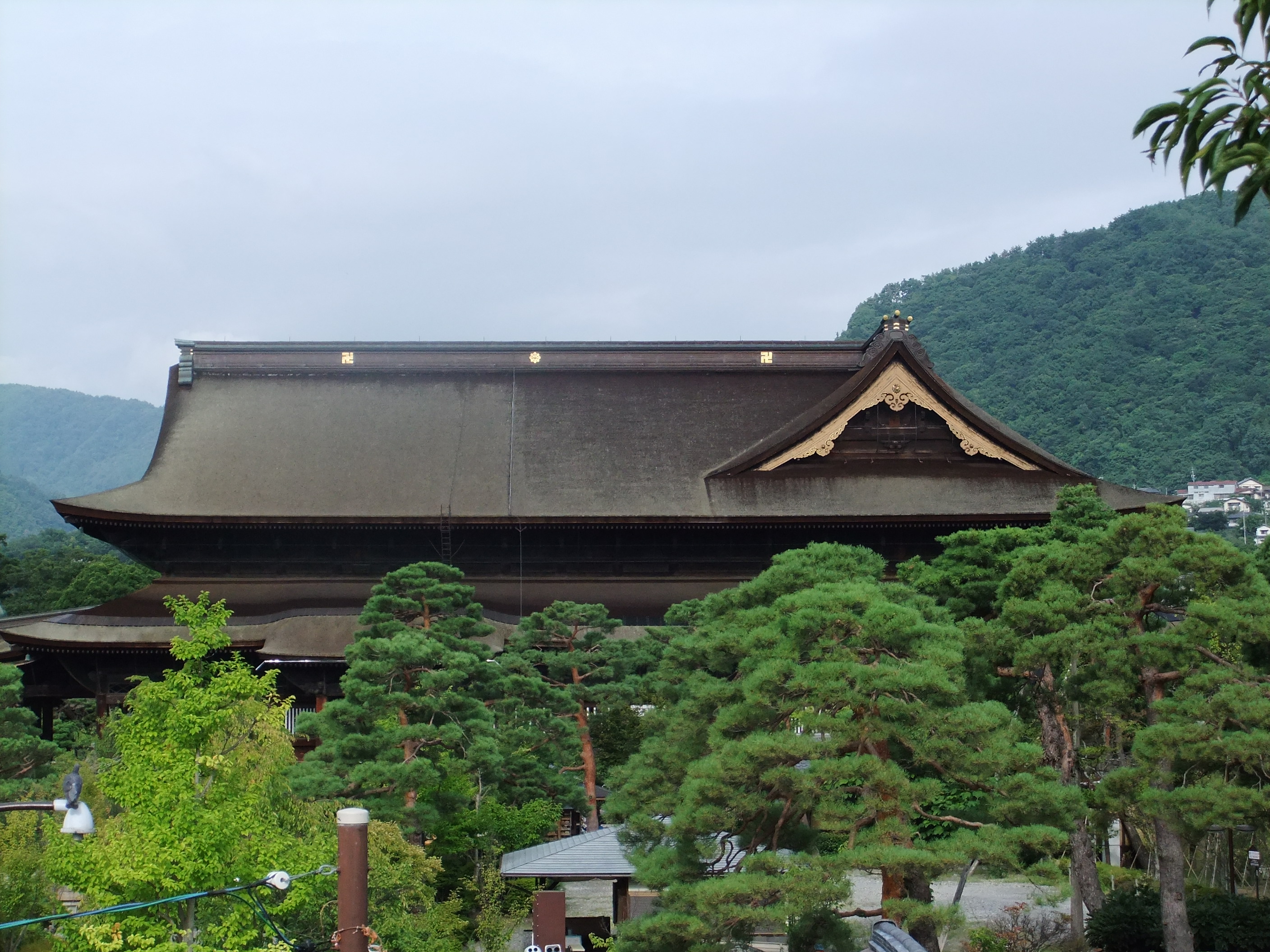 善光寺 岩 崎 建 築 研 究 室 日 誌