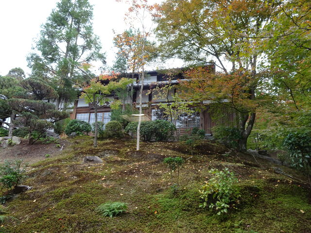 DSC01924