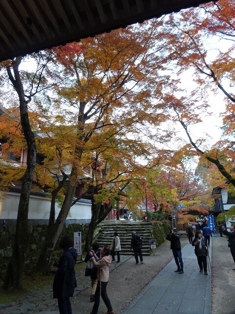 DSC06647 のコピー