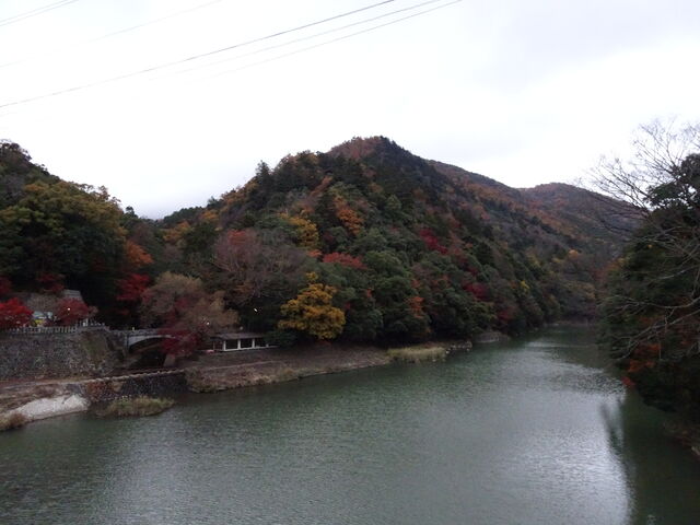 DSC06747 のコピー