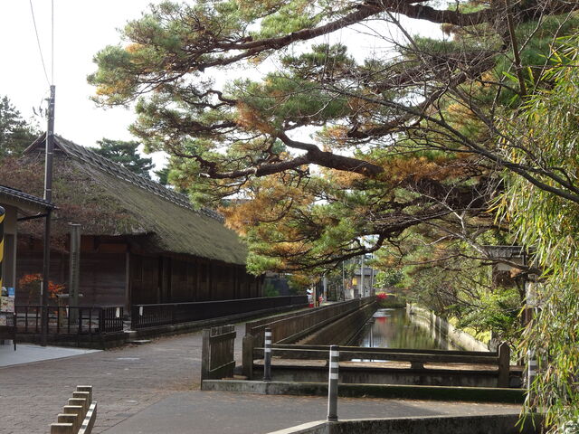 DSC04361 のコピー