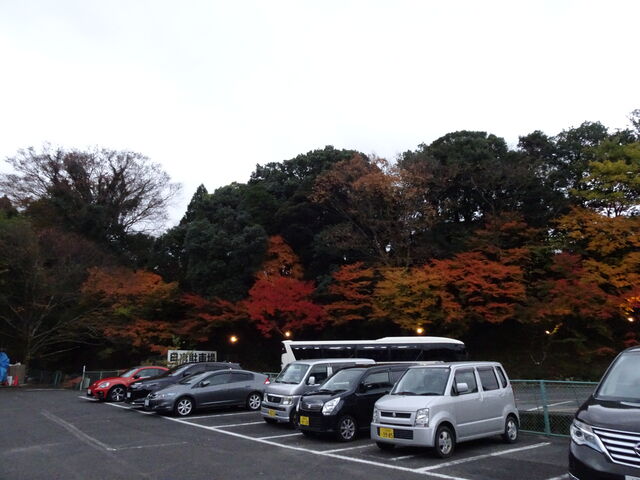 DSC06748 のコピー