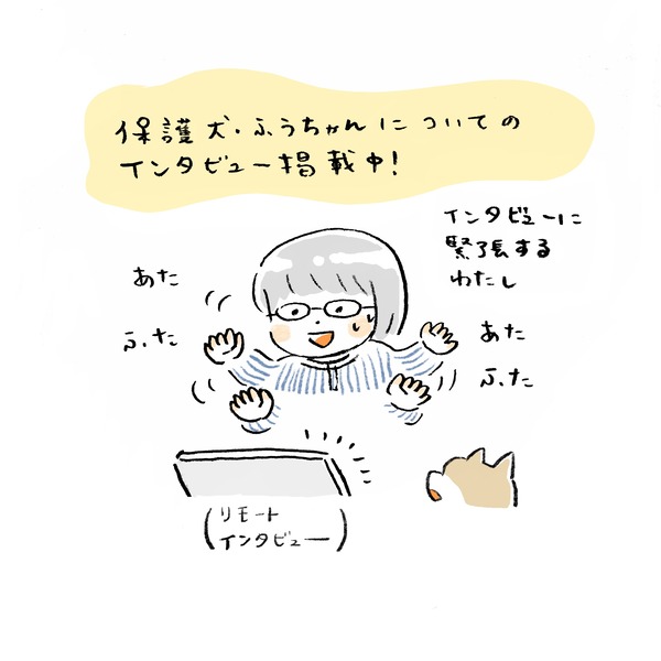 interview
