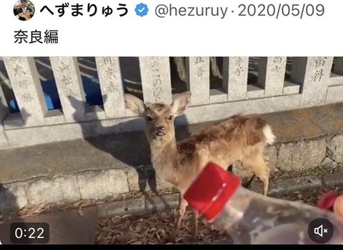 VnXZsRlAn4eOOqV1758907005